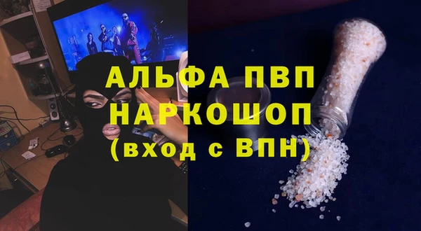 гидра Белокуриха