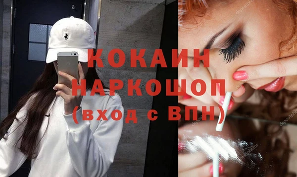 гидра Белокуриха