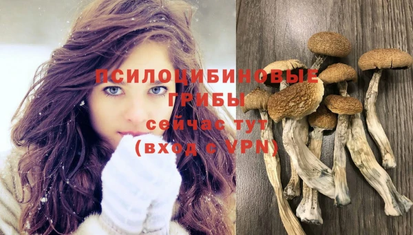 гидра Белокуриха