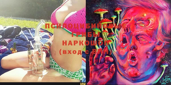гидра Белокуриха