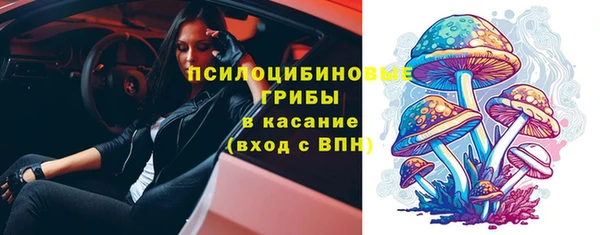 гидра Белокуриха