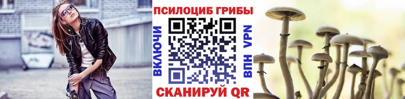 купить   Энгельс  MEGA ссылка  Псилоцибиновые грибы мухоморы 